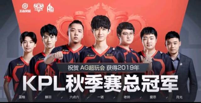 组织 组织